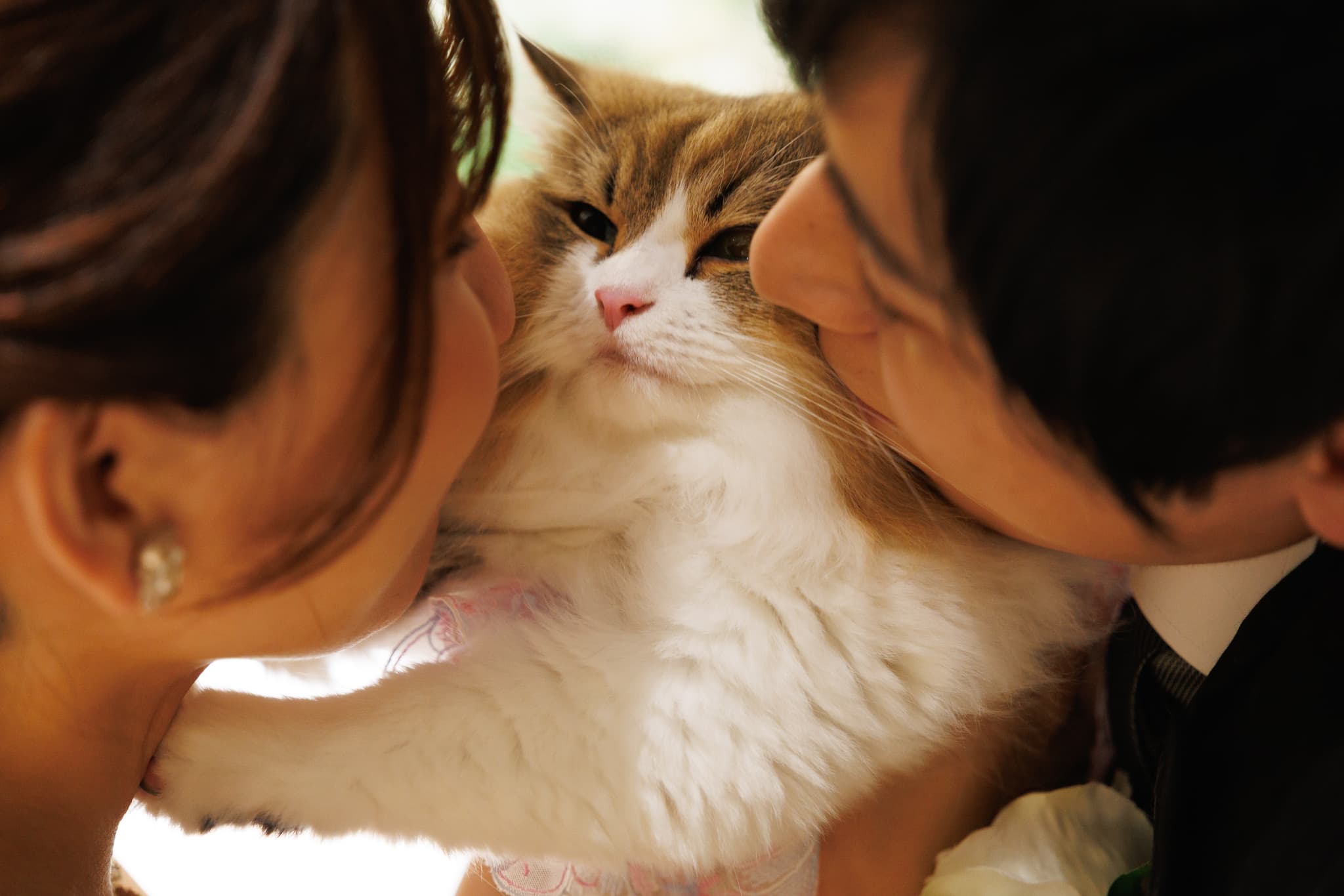 大切な“家族”と迎えるフォトウェディング